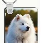 Créez un porte-clés unique, à votre image Immortalisez un moment précieux, une personne chère ou un souvenir inoubliable avec un porte-clés personnalisé. Choisissez parmi 4 formes : rond, cœur, carré ou rectangulaire